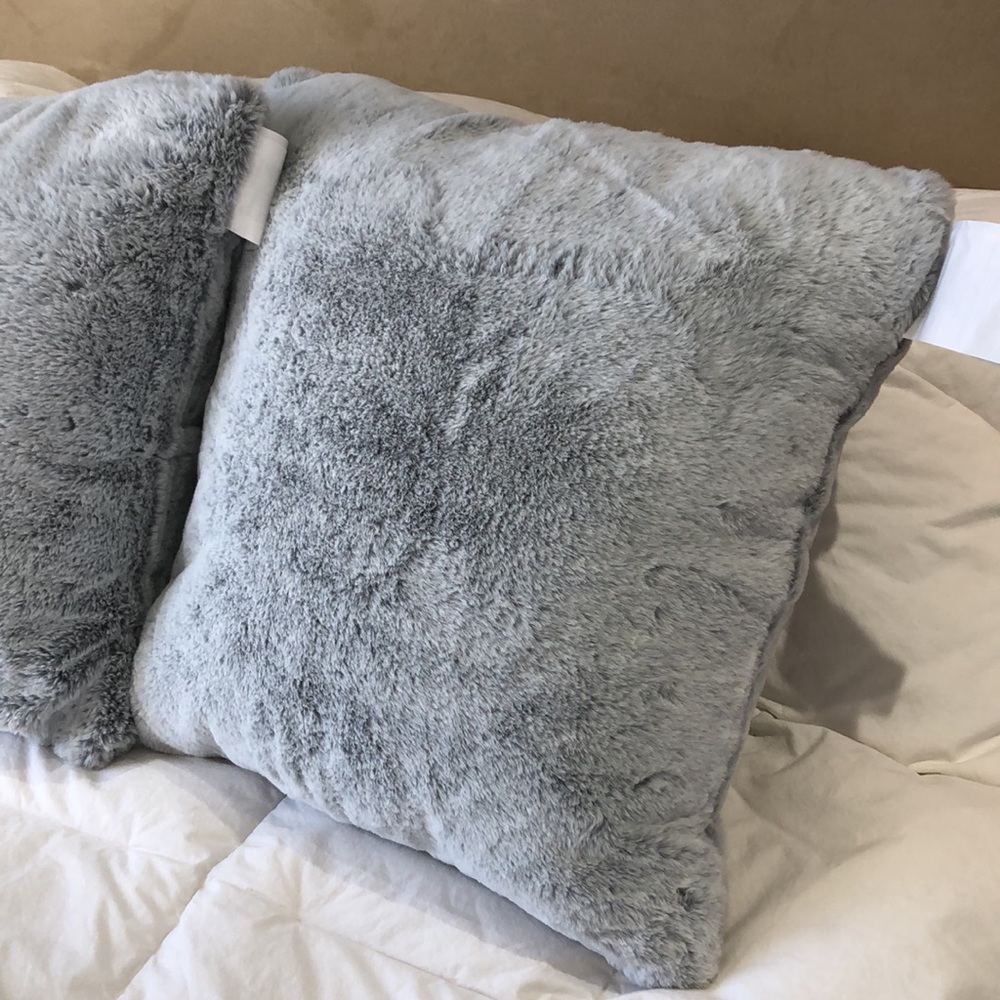 Pair of pillows. Bed, Bath & Beyond throw pillows. Powder blue. Pillow and cover - Picture 3 of 8